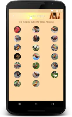 Rooster Sounds android App screenshot 4