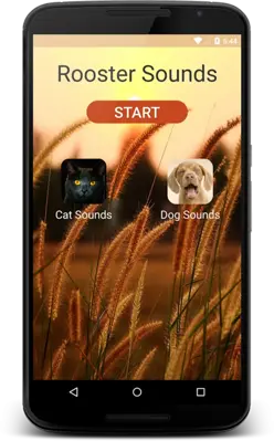 Rooster Sounds android App screenshot 5